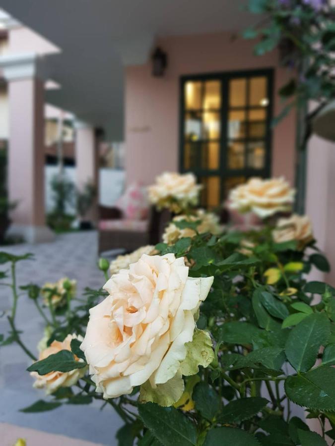 Hotel Rosy 清邁 外观 照片